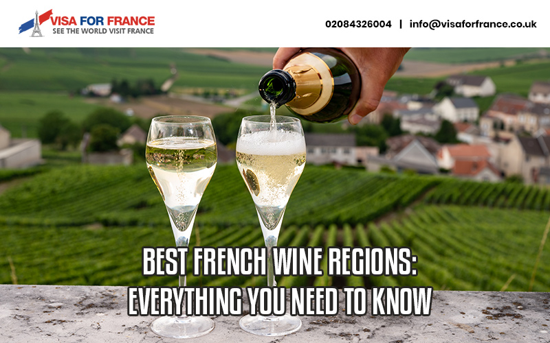 Best French Wine Regions: Everything you Need to know