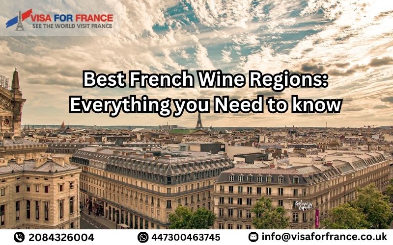 Best French Wine Regions Everything you Need to know